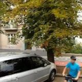 FIALOVÁ KATEŘINA DiS.