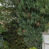 WALKER COMMUNICATIONS, s.r.o.