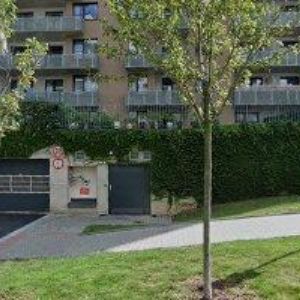 obrazek: avatar CITYWOLF s.r.o.