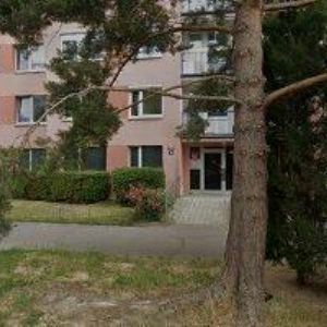 obrazek: avatar ZELEŇ