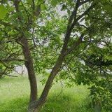 WIBE TECHNOLOGIES s.r.o.