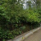 ZAHRADY-NEJGARDEN.CZ