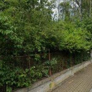 obrazek: avatar ZAHRADY-NEJGARDEN.CZ