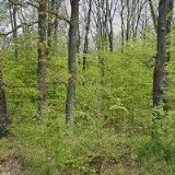 HUSÁK LIBOR-TRUHLÁŘSTVÍ