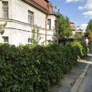 obrazek: avatar ALICON s.r.o.