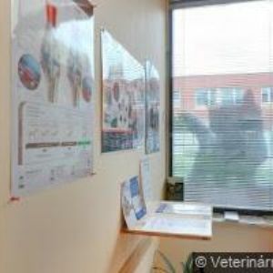 obrazek: avatar PRŮCHA K + M