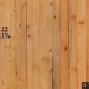 obrazek: avatar KOHOUT MILAN