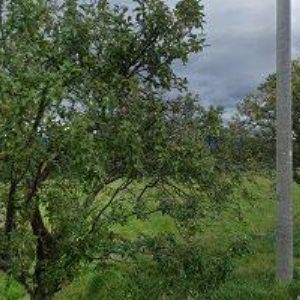 obrazek: avatar KOPECKÝ MIROSLAV-ZÁMEČNICTVÍ