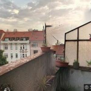 obrazek: avatar NÁBOŽENSKÁ OBEC CÍRKVE ČESKOSLOVENSKÉ HUSITSKÉ V PRAZE 7-HOLEŠOVICE