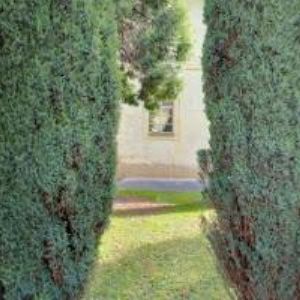 obrazek: avatar KONVENT SESTER ALŽBĚTINEK V PRAZE