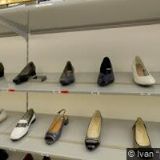 ŘÍMSKOKATOLICKÁ FARNOST U KOSTELA SV. LUDMILY Praha-Vinohrady