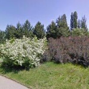 obrazek: avatar TYRŠOVA ZŠ A MŠ