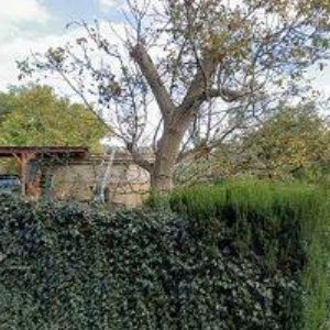 obrazek: avatar ZŠ A MŠ Spojenců