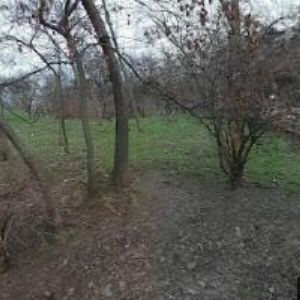 obrazek: avatar ZŠ A MŠ Chelčického