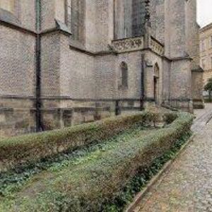 obrazek: avatar GYMNÁZIUM KARLA SLADKOVSKÉHO