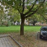 GOOD WINE LOVER s.r.o.