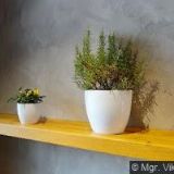 TURNOVSKÁ PIVNICE WALTROVKA