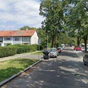 obrazek: avatar TAUWINKELOVÁ IVA
