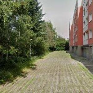 obrazek: avatar ZAMOROVÁ JANA-ŠPANĚLŠTINA A PORTUGALŠTINA