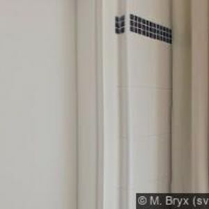 obrazek: avatar ZAJÍČEK MARIAN