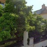 PAVELKOVÁ VERNI KATEŘINA Ing.