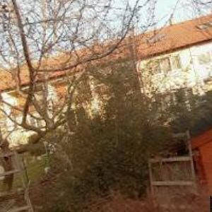 obrazek: avatar KOREKTURY ON-LINE