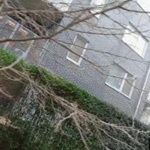 obrazek: avatar AEGEA