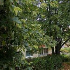 obrazek: avatar ANGLIČTINA PRO DOSPĚLÉ