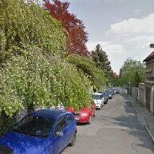 obrazek: avatar ROLINO JAZYKOVÉ STUDIO