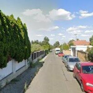 obrazek: avatar FANI