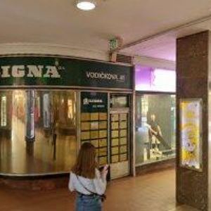 obrazek: avatar MYLANGUAGE