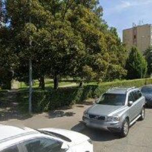 obrazek: avatar FRESH SCHOOL s.r.o.