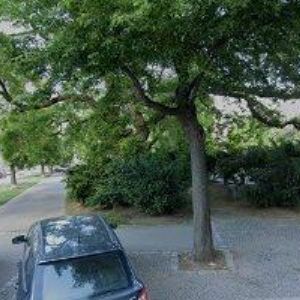 obrazek: avatar NOVOBILSKÝ DAVID Mgr.