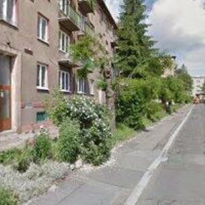 obrazek: avatar ZŠ TOLERANCE Praha