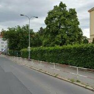 obrazek: avatar ZŠ A MŠ Sdružení