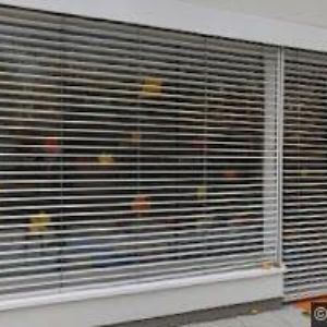 obrazek: avatar ZŠ SPEKTRUM