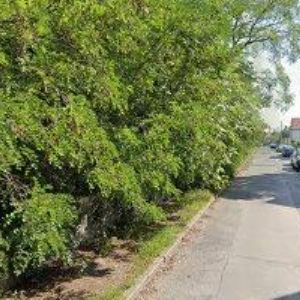 obrazek: avatar MŠ PODSAĎÁČEK