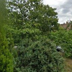 obrazek: avatar SMARTFOX PRESCHOOL & NURSERY