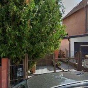 obrazek: avatar DK TAMINO