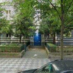 obrazek: avatar CHERRY TREE, z.s.