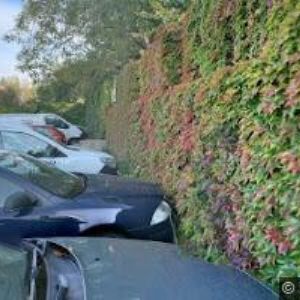 obrazek: avatar JAZYKOVÁ ŠKOLKA A JESLE TROJSKÁ LABUŤ