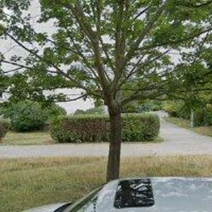 obrazek: avatar ZŠ ANGEL