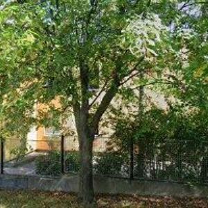 obrazek: avatar MŠ Praha