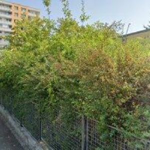 obrazek: avatar MŠ PÍŠŤALKA