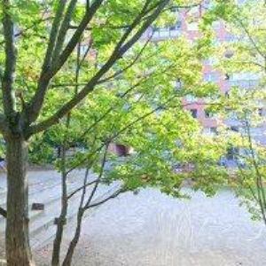 obrazek: avatar MŠ ROSNIČKA