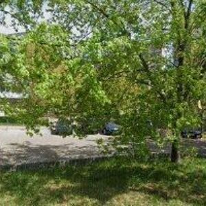 obrazek: avatar MŠ U KRTEČKA