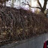 MŠ CHARLESE DE GAULLA