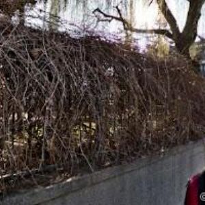 obrazek: avatar MŠ CHARLESE DE GAULLA