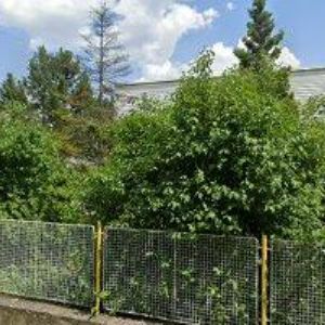 obrazek: avatar MŠ PARMSKÁ Praha