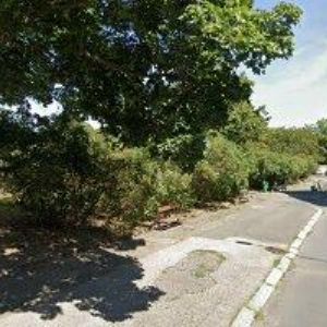 obrazek: avatar ZUŠ Praha